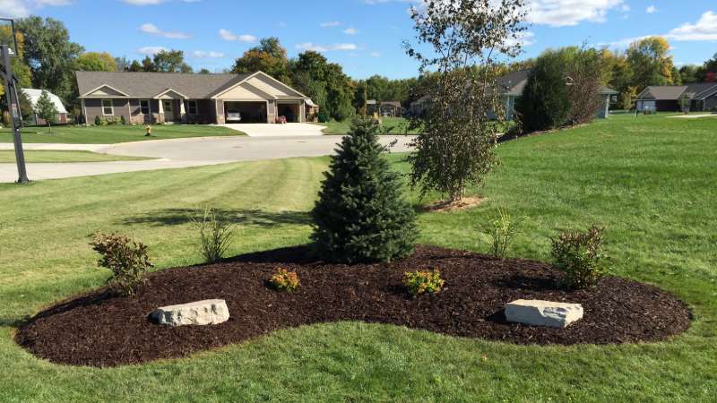 Tree and bed install
