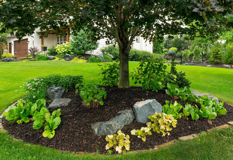 Garden bed install